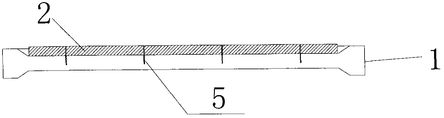 Prestress concrete noise barrier sound absorption inserting plate for high speed railway