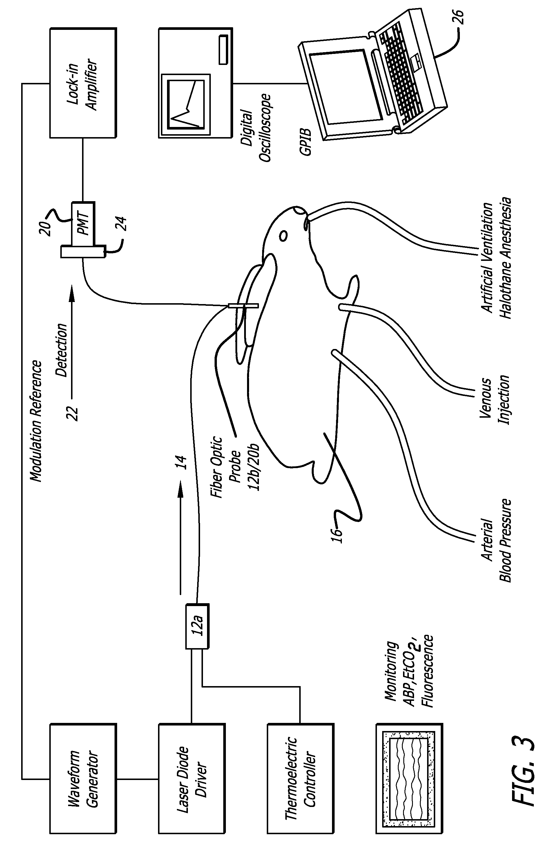 Measurement of cardiac output and blood volume by non-invasive detection of indicator dilution for hemodialysis