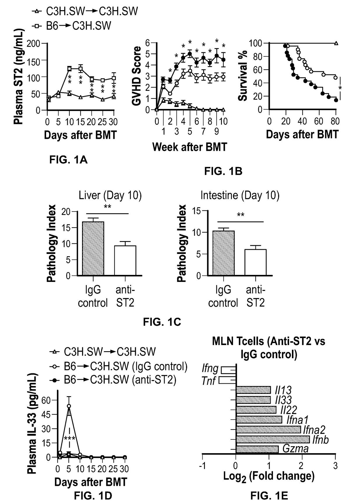 Cell culture systems for producing il-33 induced t9 cells and methods of using the cells