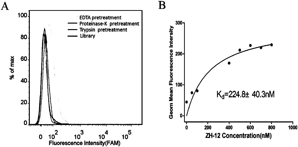 A nucleic acid aptamer for detecting human uveal melanoma cells