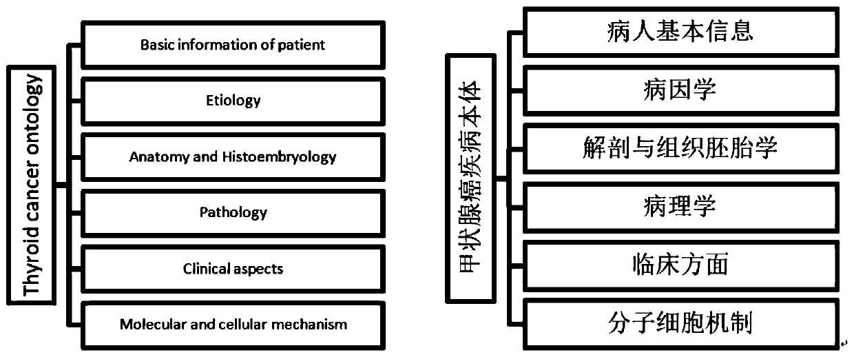 Construction method of thyroid cancer disease ontology model