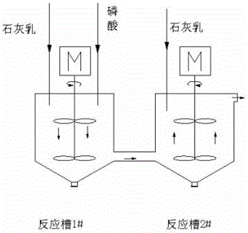 Method for producing large dicalcium phosphate crystals by utilizing seed crystals and returned material