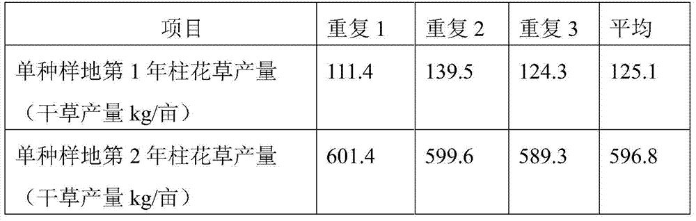 A kind of cultivation method of interplanting stylo grass and annual ryegrass