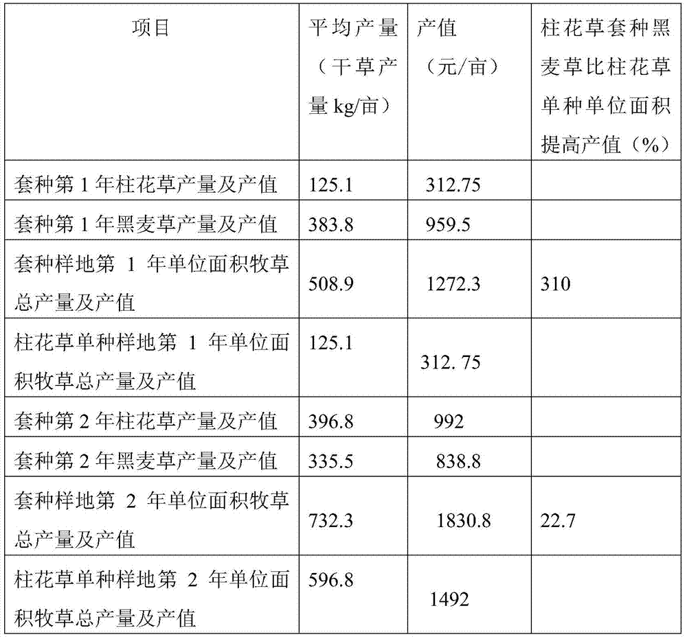 A kind of cultivation method of interplanting stylo grass and annual ryegrass