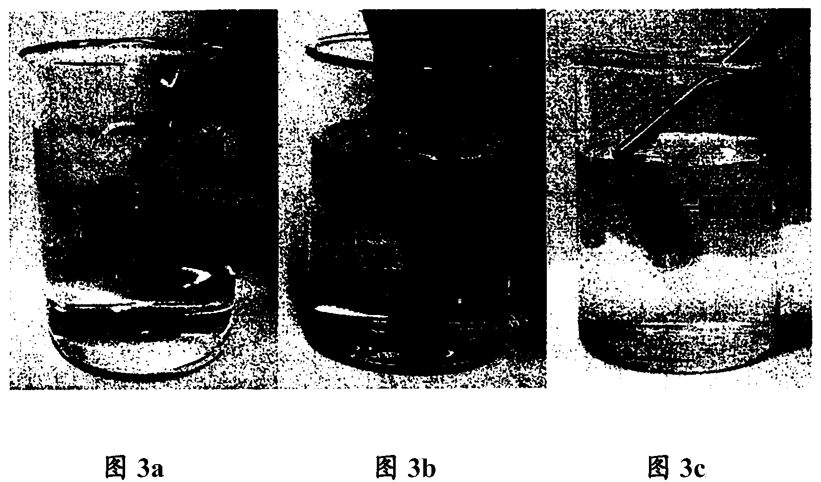 Method and apparatus for adhesive bonding in an aqueous medium