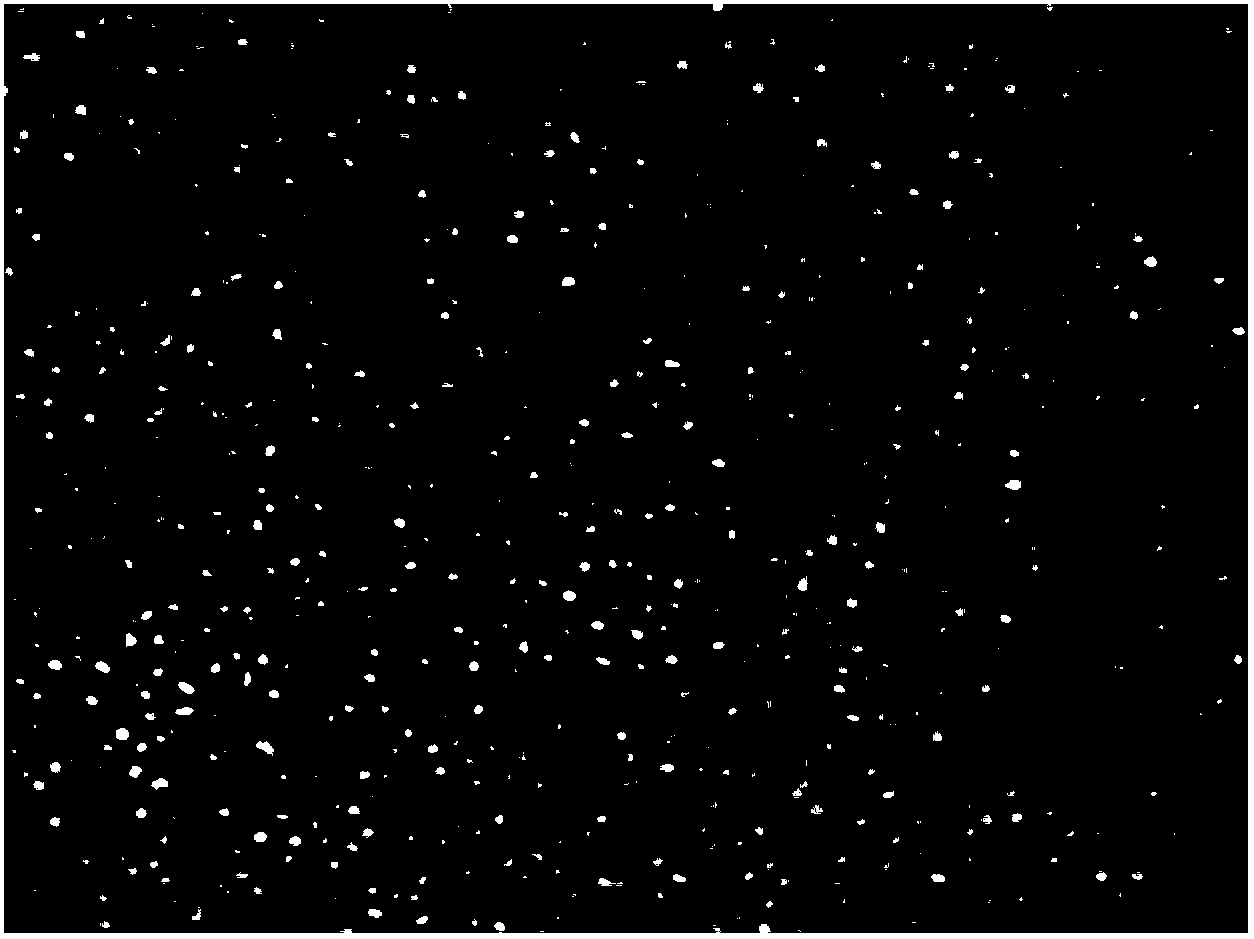 Method for in-vitro culture of killer T cells