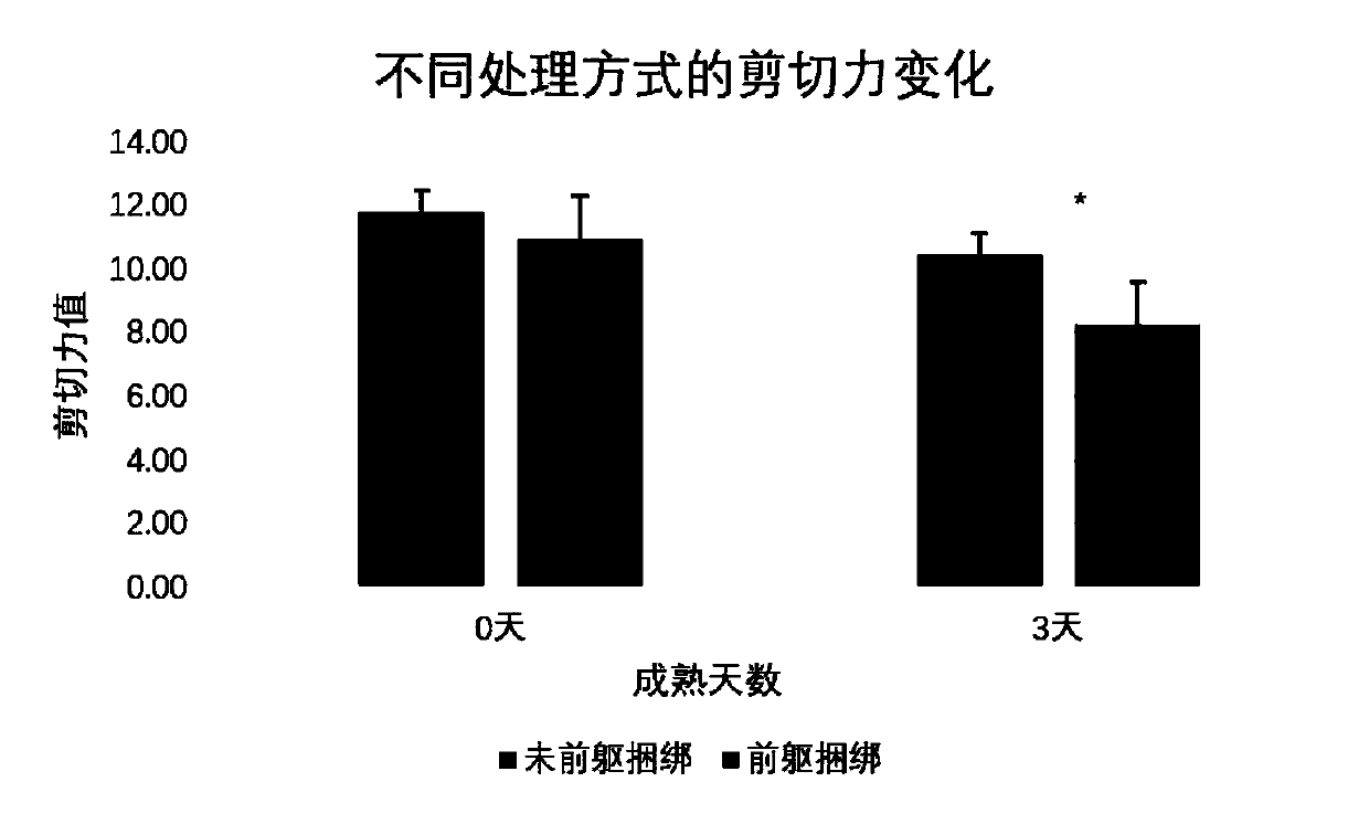 Method for accelerating ripening of beef cattle after slaughter