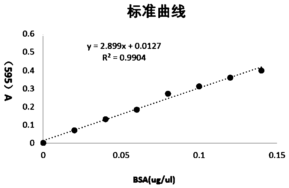 Method for accelerating ripening of beef cattle after slaughter