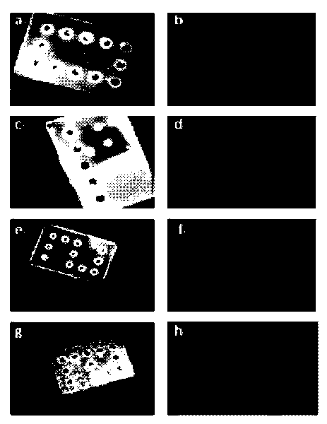 Method for preparing magnetic suspended coding micro-block array chips and method for applying the preparation method