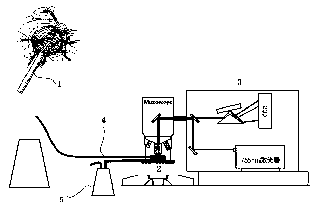 Integrated glioma surgery instrument