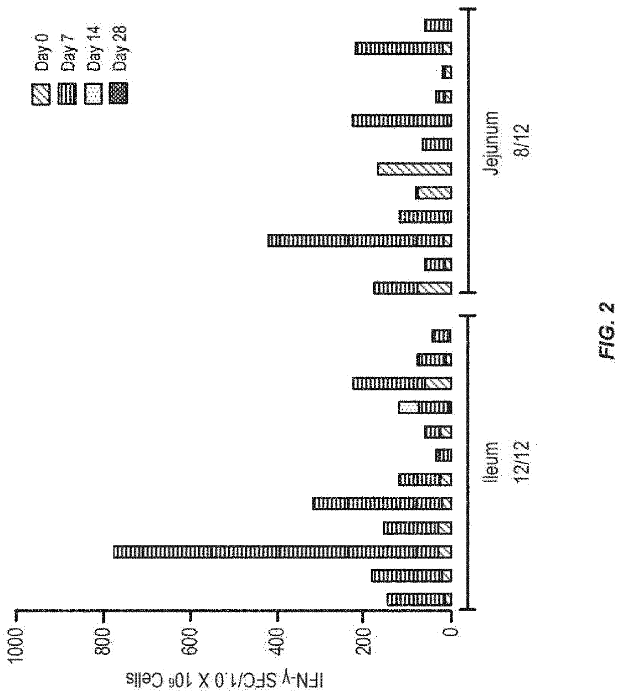 Formulations for small intestinal delivery of RSV and norovirus antigens