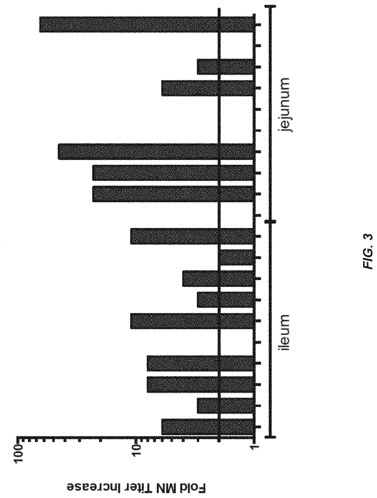 Formulations for small intestinal delivery of RSV and norovirus antigens