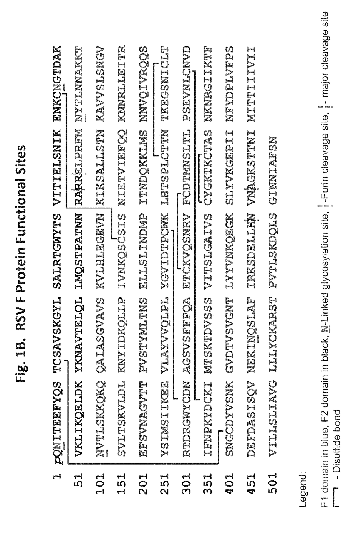 Vaccine compositions having improved stability and immunogenicity