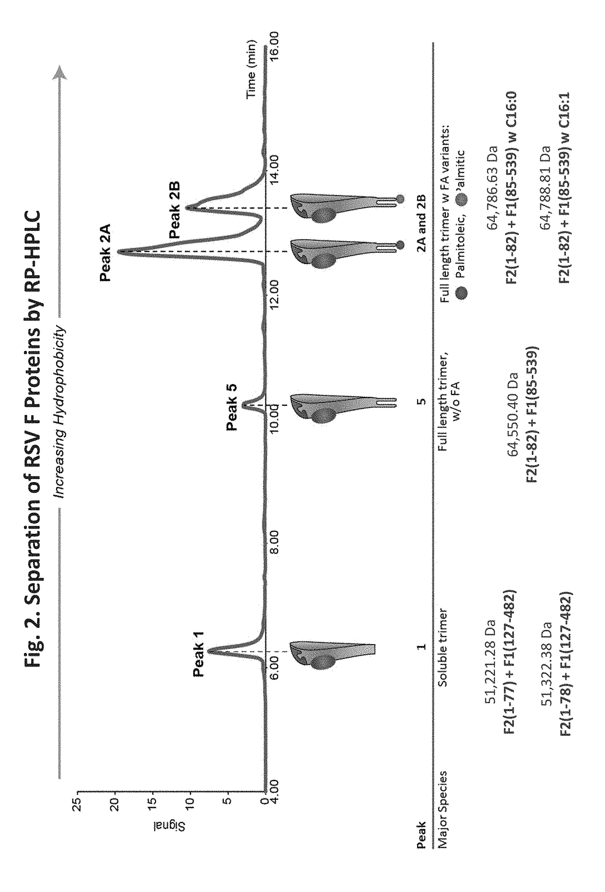 Vaccine compositions having improved stability and immunogenicity