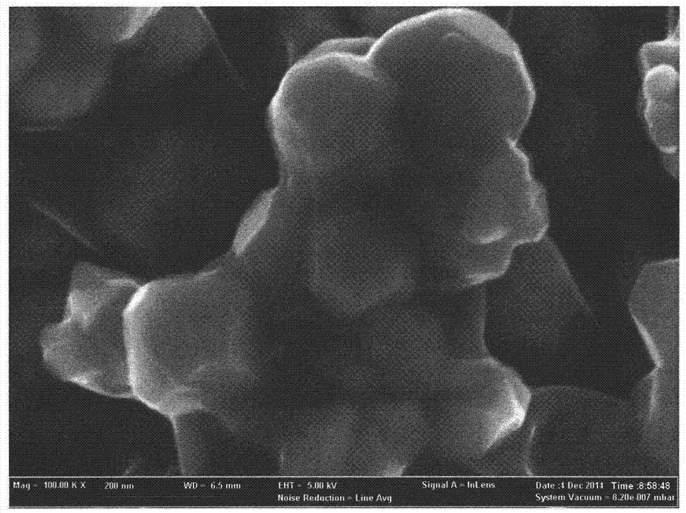 A magnetic microsphere of immobilized earthworm fibrinolytic enzyme and its preparation method