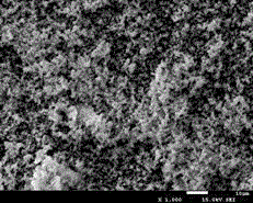 Preparation method for nanoscale rare earth oxide powder