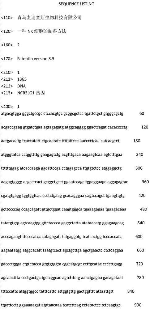 Method for preparing NK (natural killer) cell