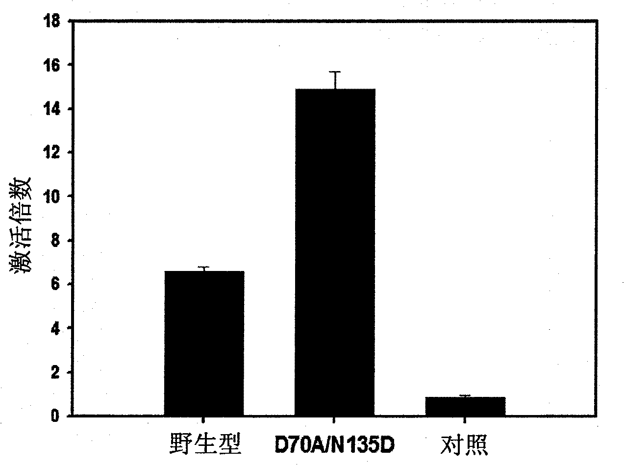 Modified flagellin improved toll-like receptor 5 stimulating activity