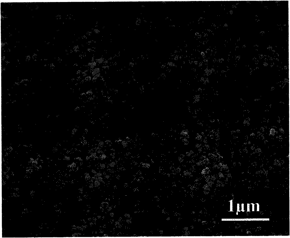 Preparation method and application of strontium-incorporated hydroxyapatite