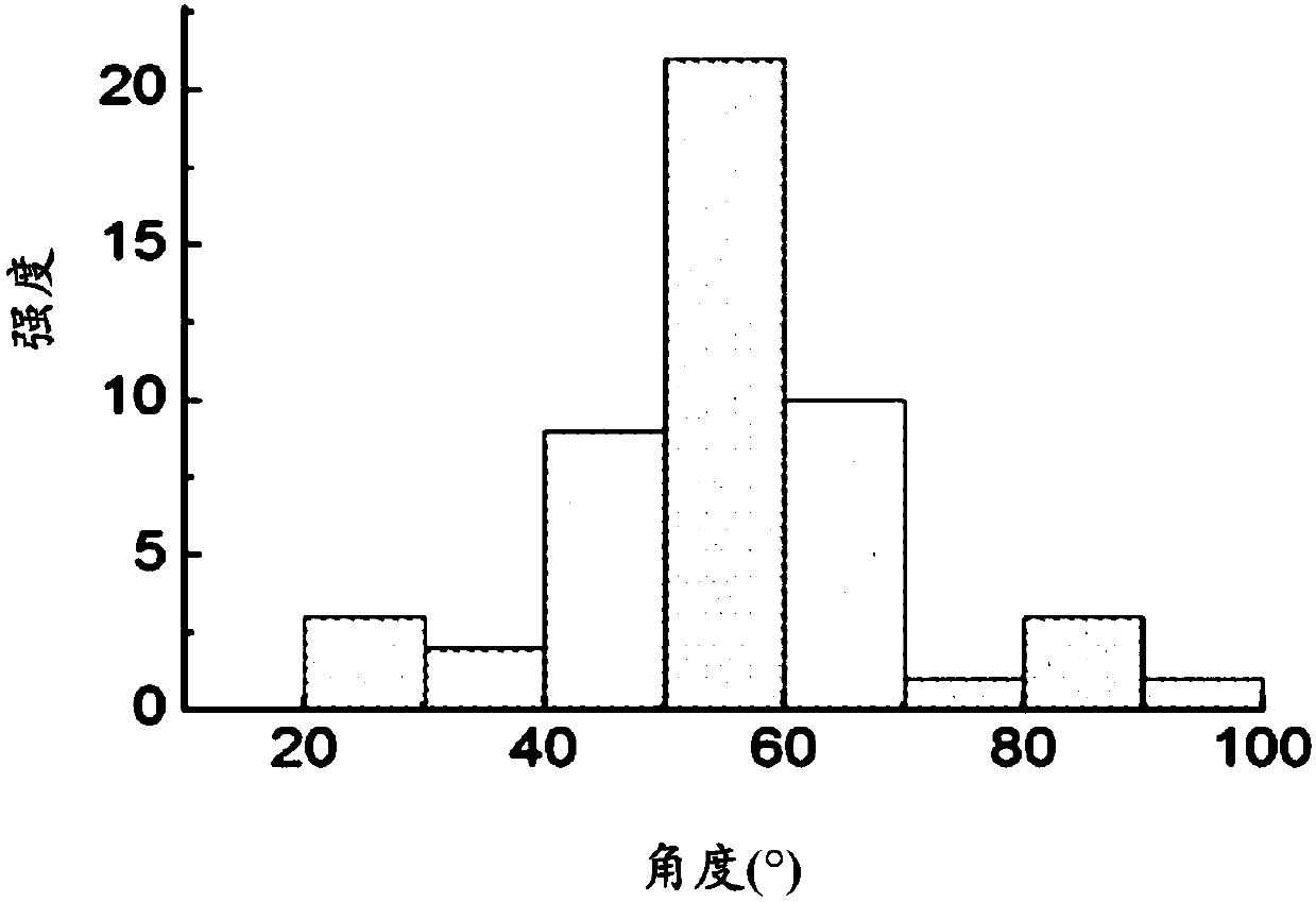 Orientation nanofiber and preparing method thereof