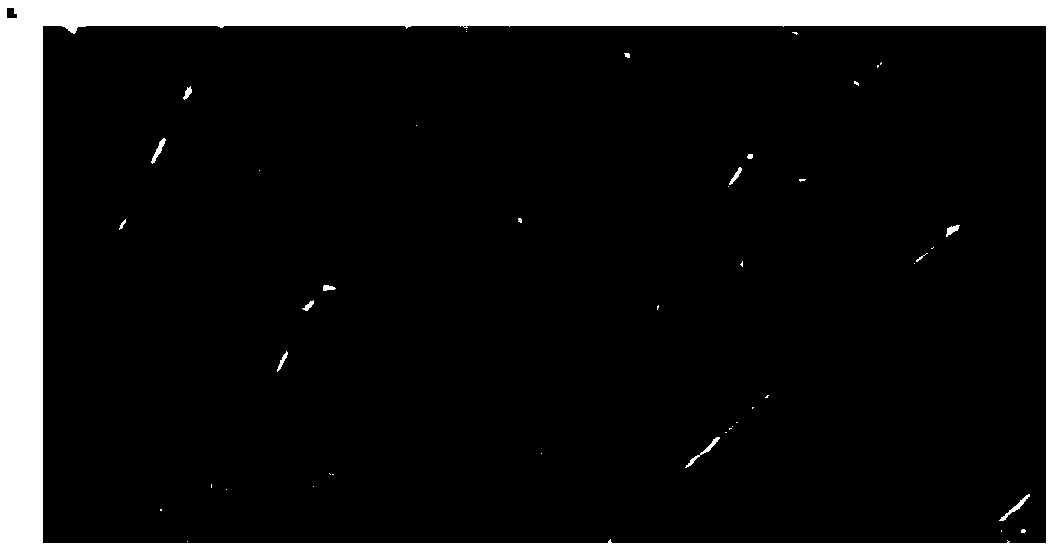 Orientation nanofiber and preparing method thereof