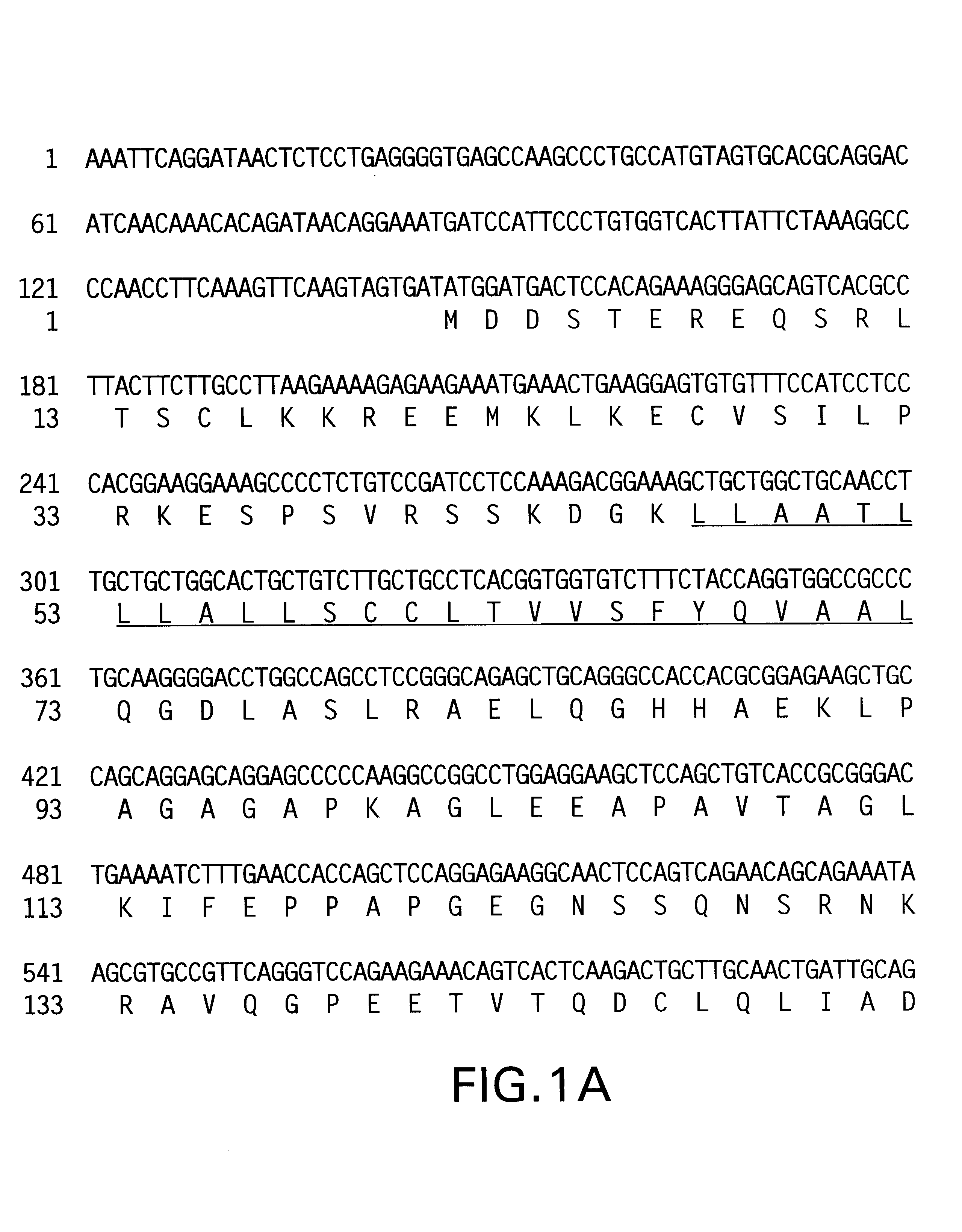 Polynucleotides encoding neutrokine-alpha