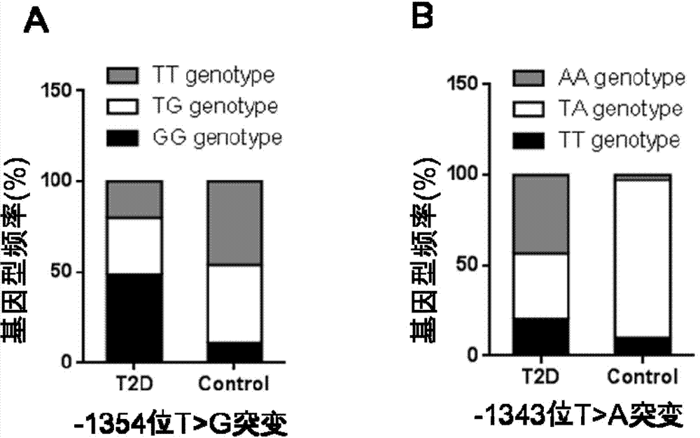 PCR-RFLP method for detecting single-nucleotide polymorphism of type II diabetes susceptibility gene CREB1 and application thereof