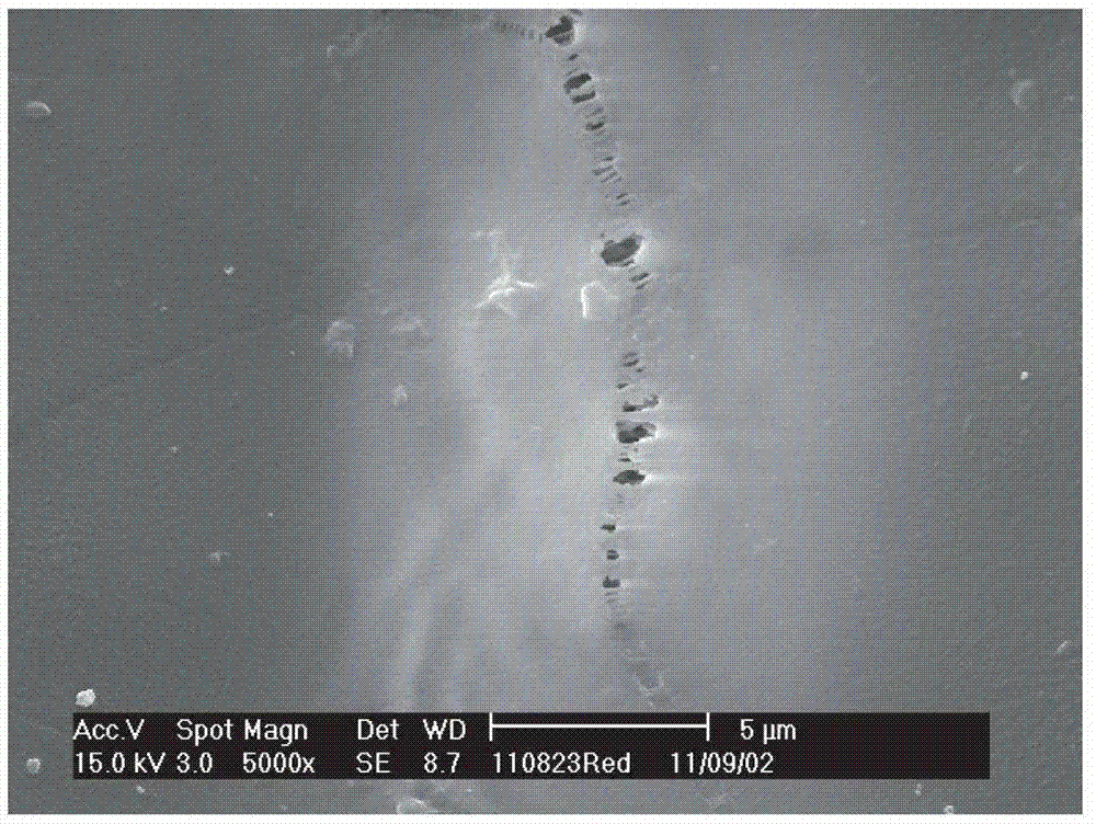 A kind of polypropylene hollow fiber separation membrane and preparation method thereof