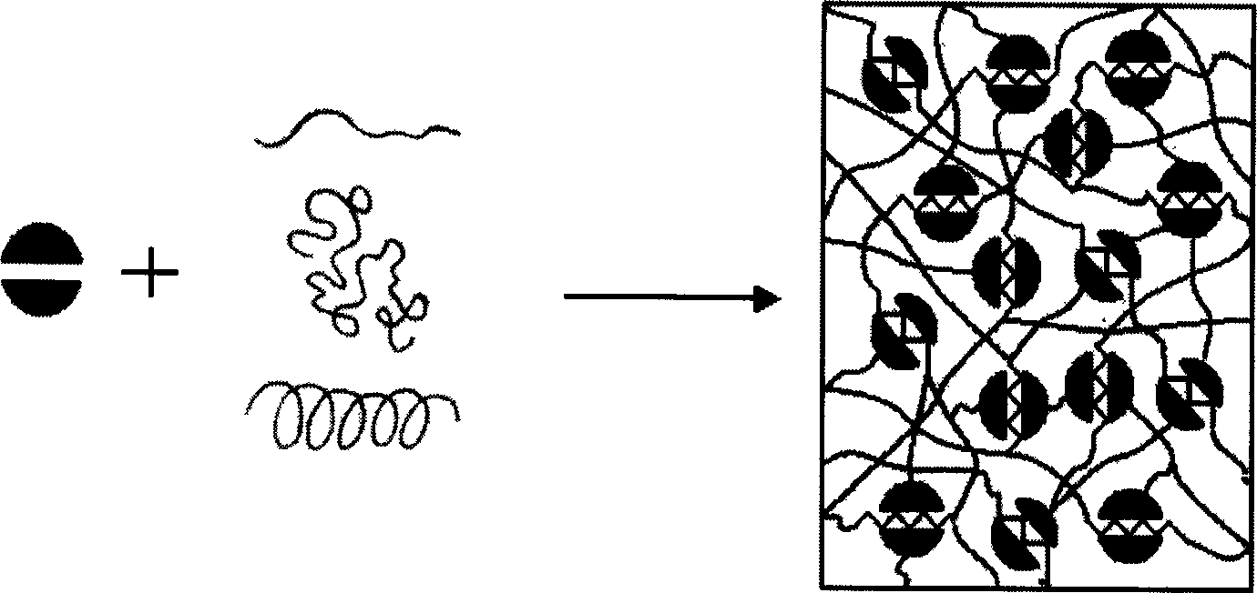 Organic nano paint of nano mesoporous silicon dioxide particle and its preparing method