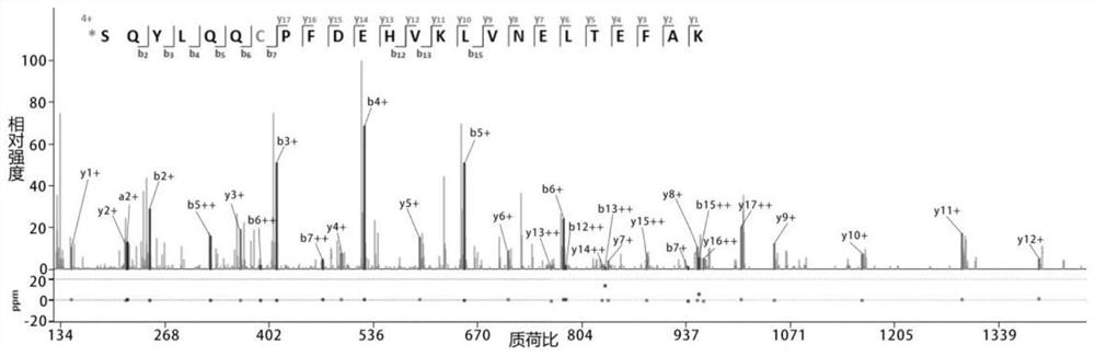 Amino acid sequence determination method based on quasi-isobaric double labeling at two ends of polypeptide