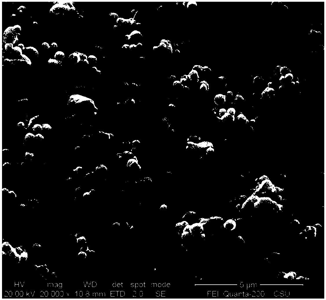 Preparation method of silver phosphate composite photocatalyst for treating malachite green in water