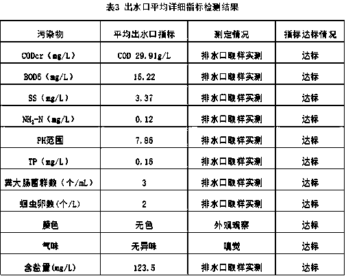 Biological composite water treatment agent and preparation method and application thereof