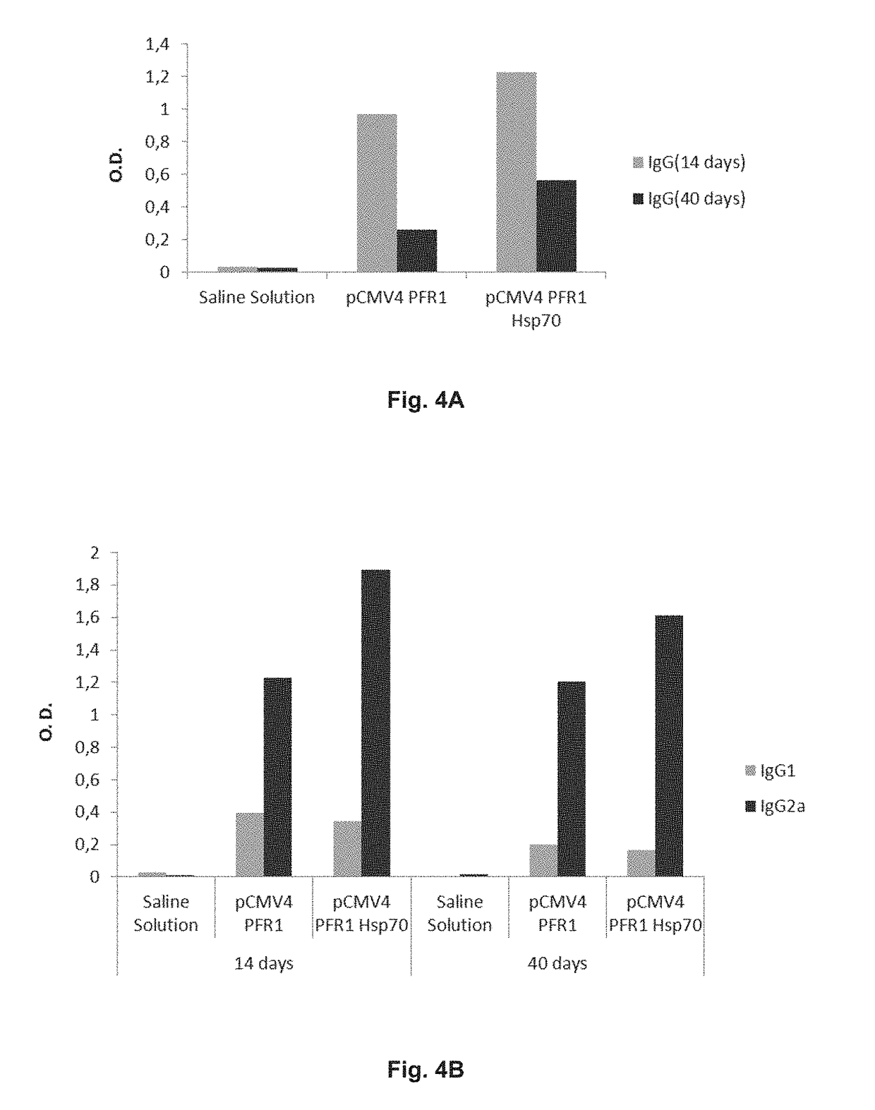 Chimeric molecule useful in immunotherapy for leishmaniasis, which includes a fragment of the pfr1 protein of leishmania infantum with specific immunodominant epitopes