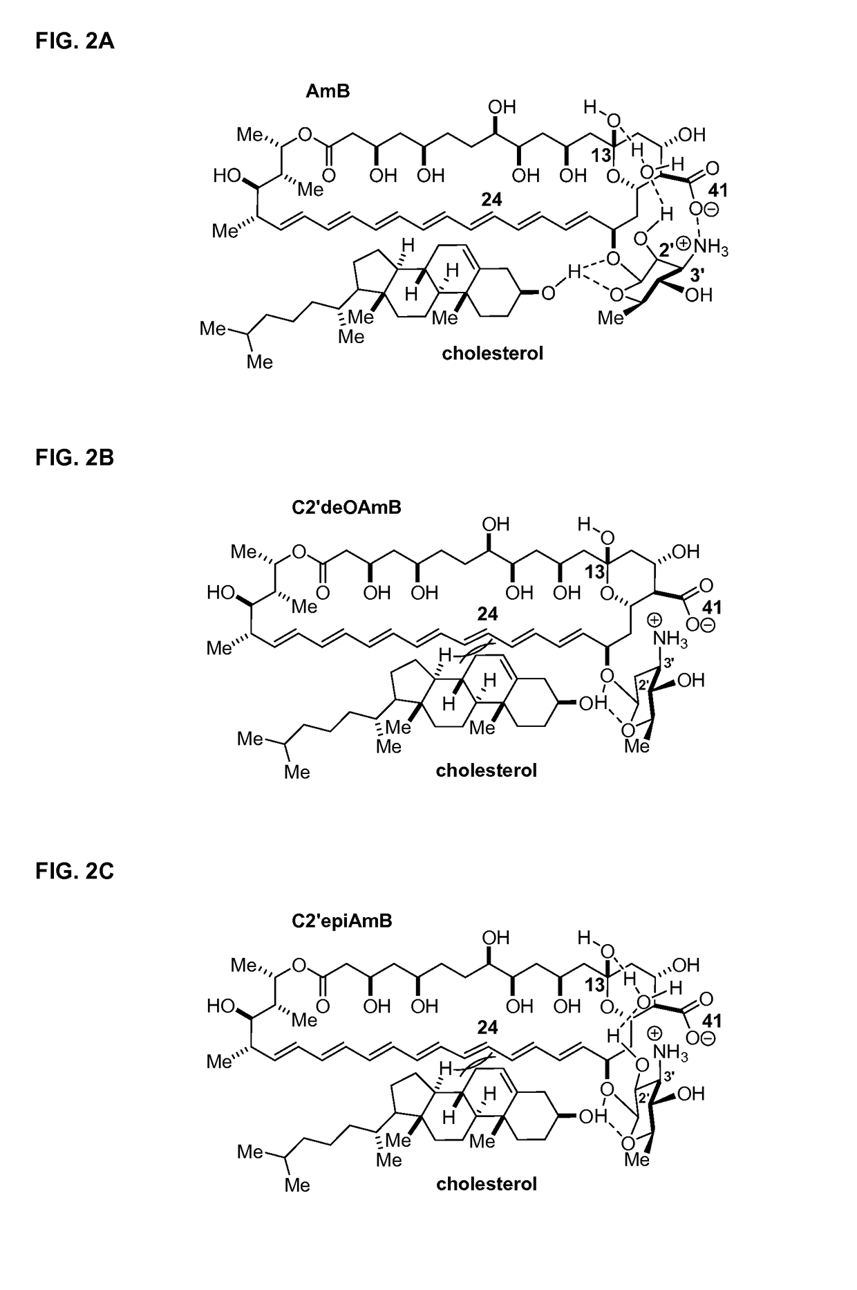 Amphotericin B derivative with reduced toxicity