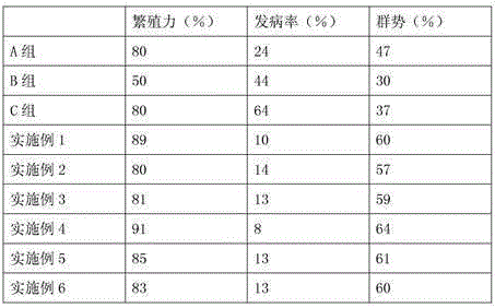 Chinese bee feed and preparation method thereof