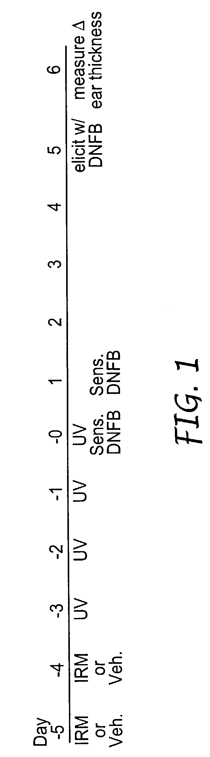 Method of reducing and treating UVB-induced immunosuppression