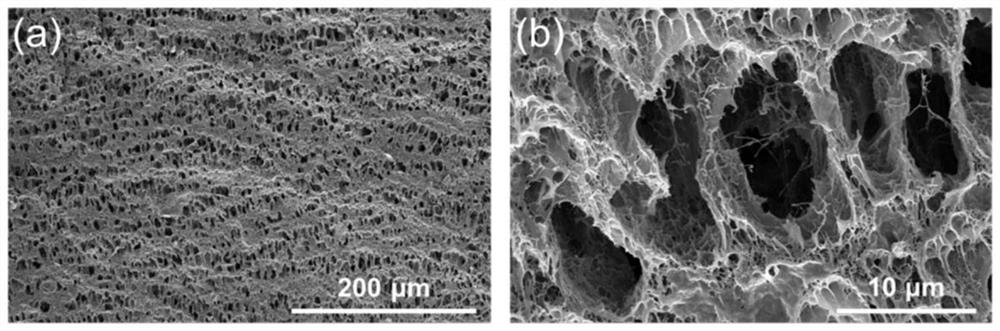 High-molecular hydrogel film with piezoelectric property as well as preparation and application of high-molecular hydrogel film