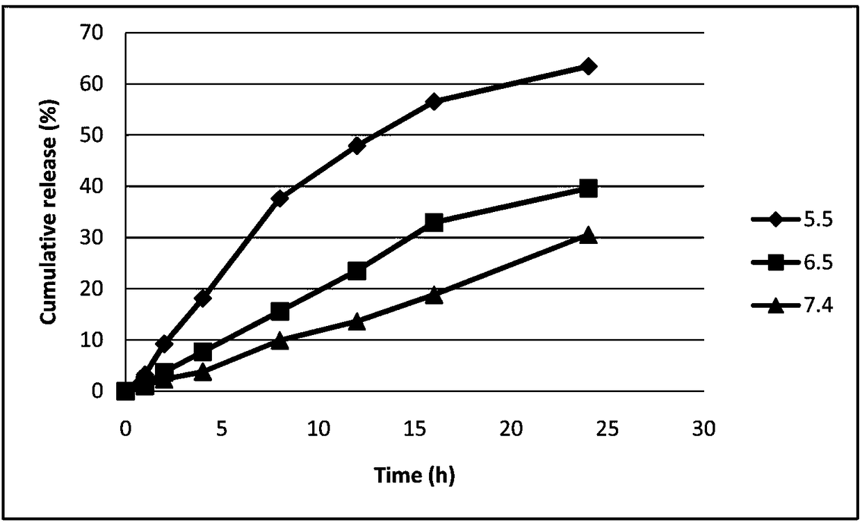 Misonidazole pH sensitive liposome and preparation method thereof