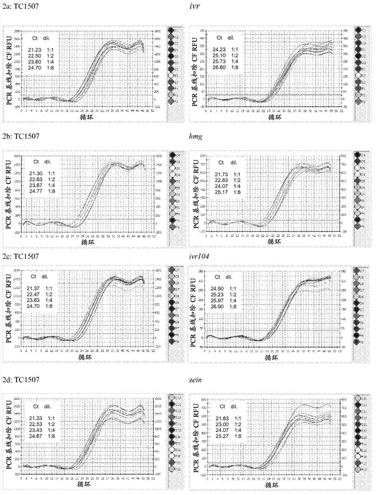 Endpoint TAQMAN methods for determining zygosity of corn comprising TC1507 events