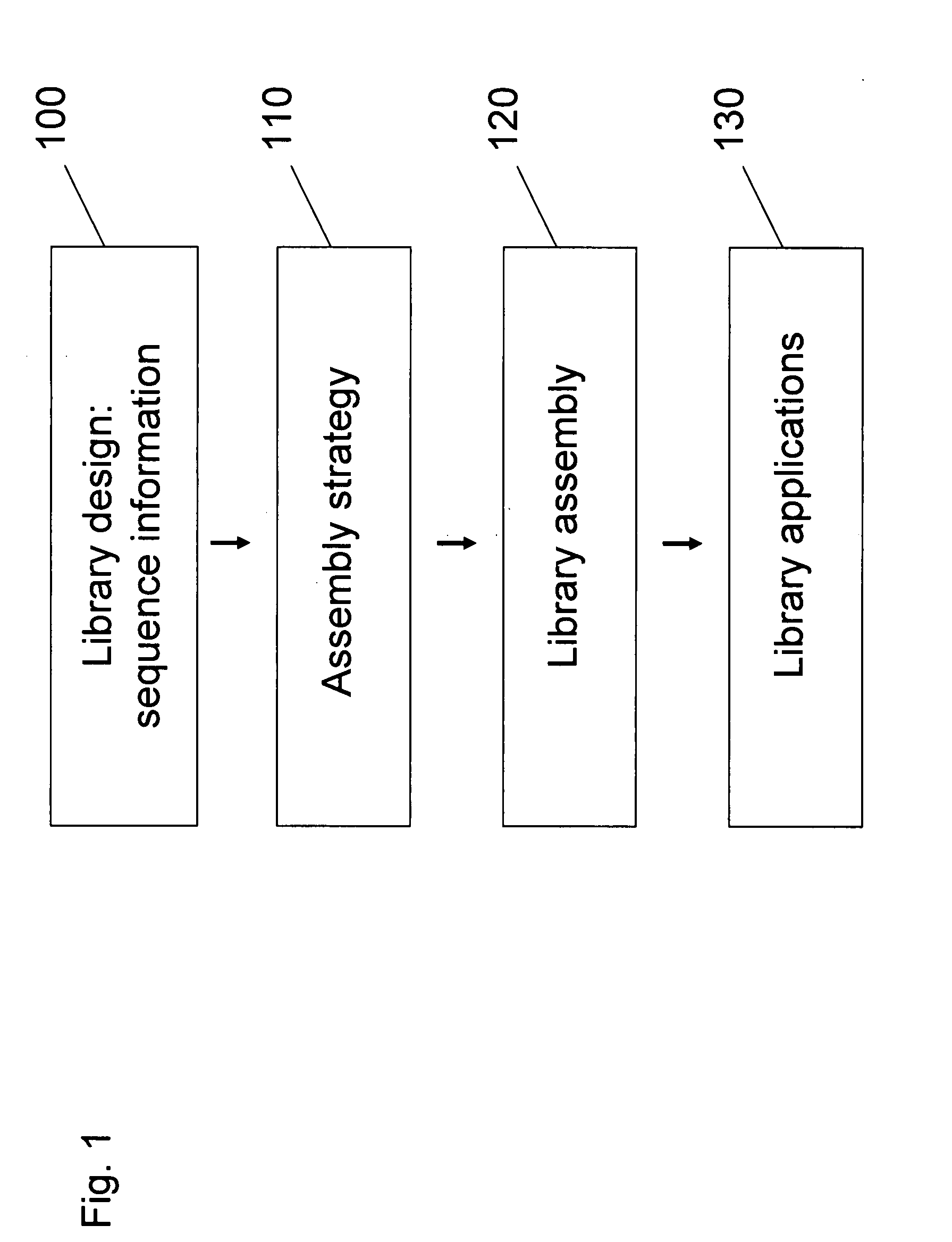 Libraries and their design and assembly