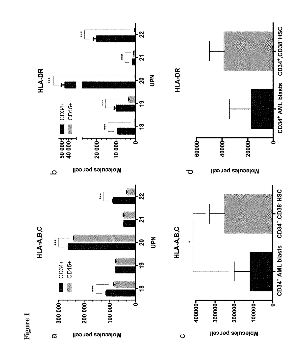 Novel immunotherapy against several tumors of the blood, such as acute myeloid leukemia (AML)