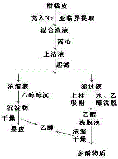 Extraction method of pectin and polyphenols in citrus peel