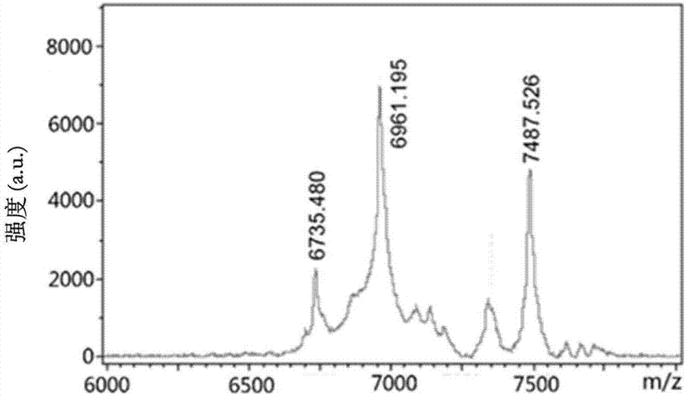 Tumor targeting polypeptide-medicine coupling derivative, and preparation method and application thereof