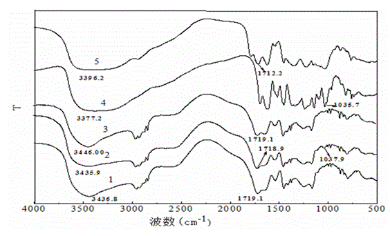 Adsorbing material for azide method coupling gelatin and preparation method of adsorbing material