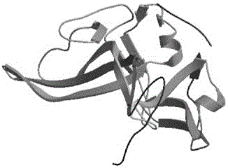 Varicella-zoster virus gB-gE-gH-gL fusion protein, genetic engineering subunit vaccine and preparation methods