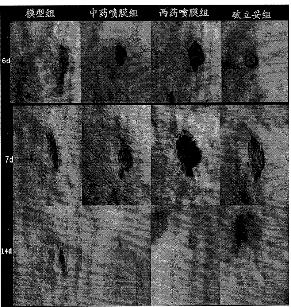 Novel membrane spraying preparation for skin trauma and preparation method