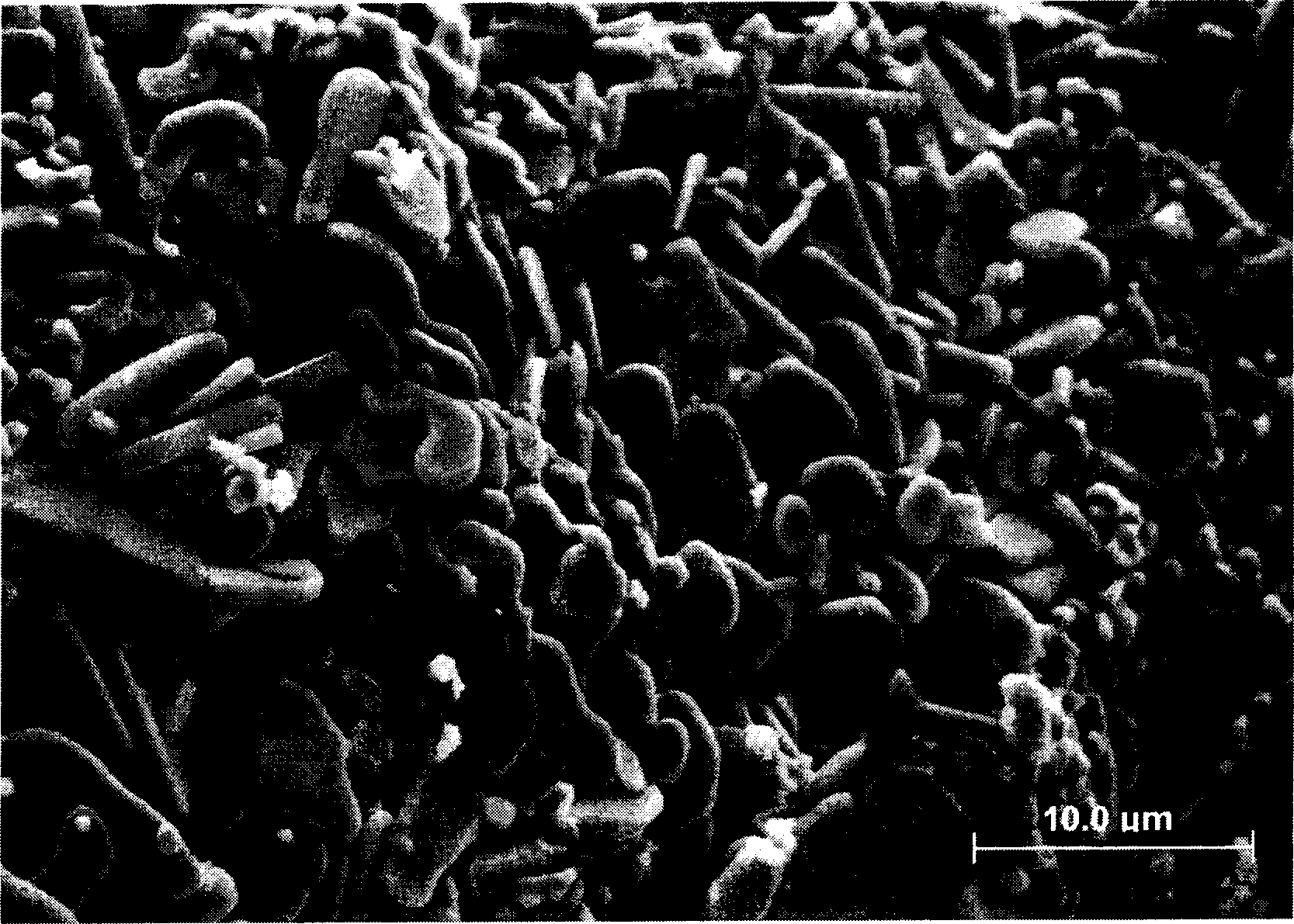 Method for synthesizing tin-titanium carbide at low temperature