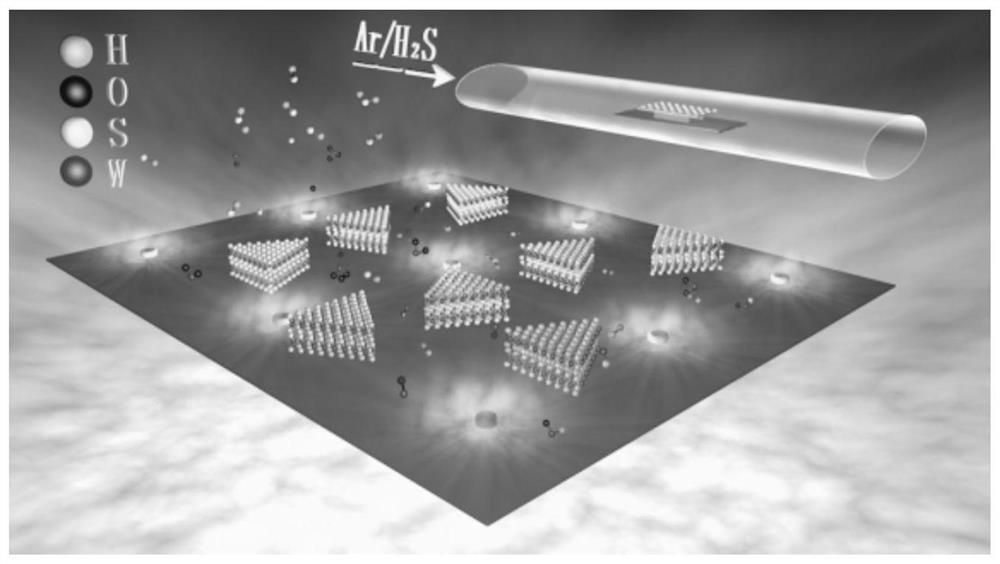 A kind of preparation method of tungsten disulfide single crystal with controllable number of layers