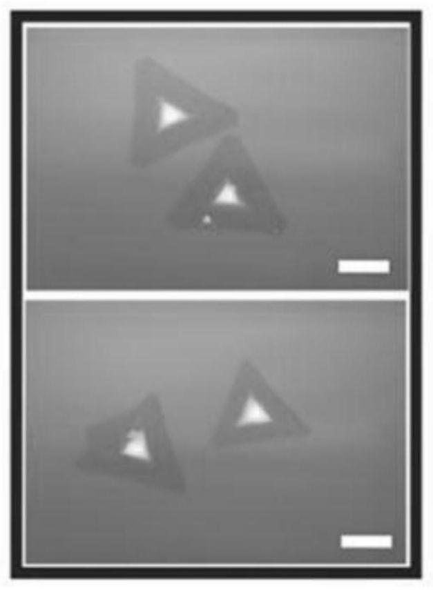 A kind of preparation method of tungsten disulfide single crystal with controllable number of layers