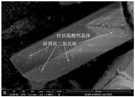 Method for preparing titanium dioxide from high-acidity high-silicon-content titaniferous solution